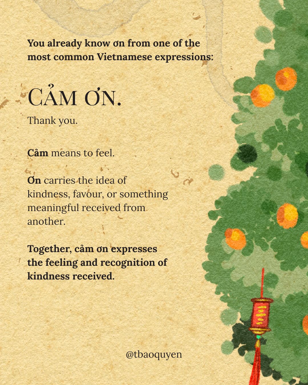 Ơn - Words We Carry