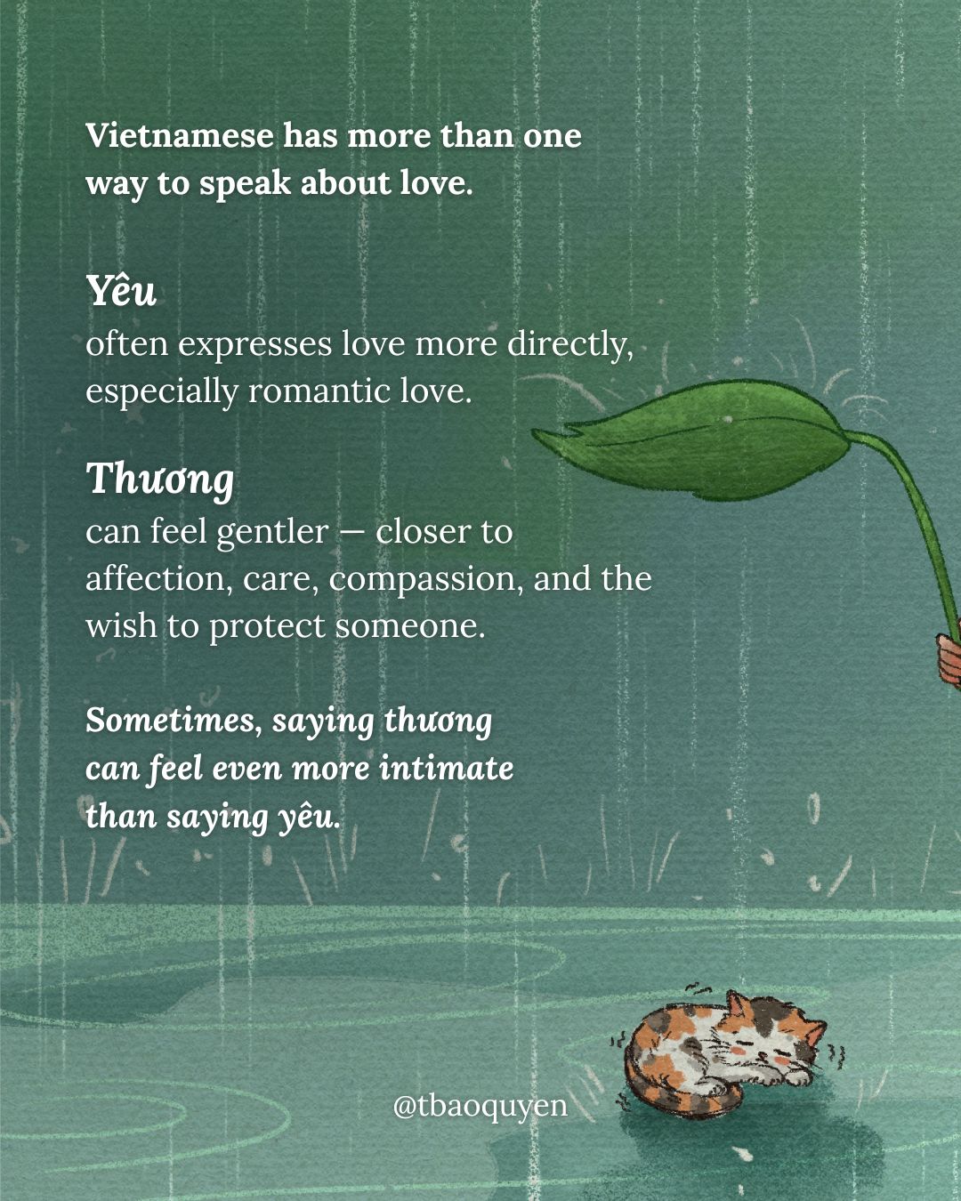 Thương - Words We Carry