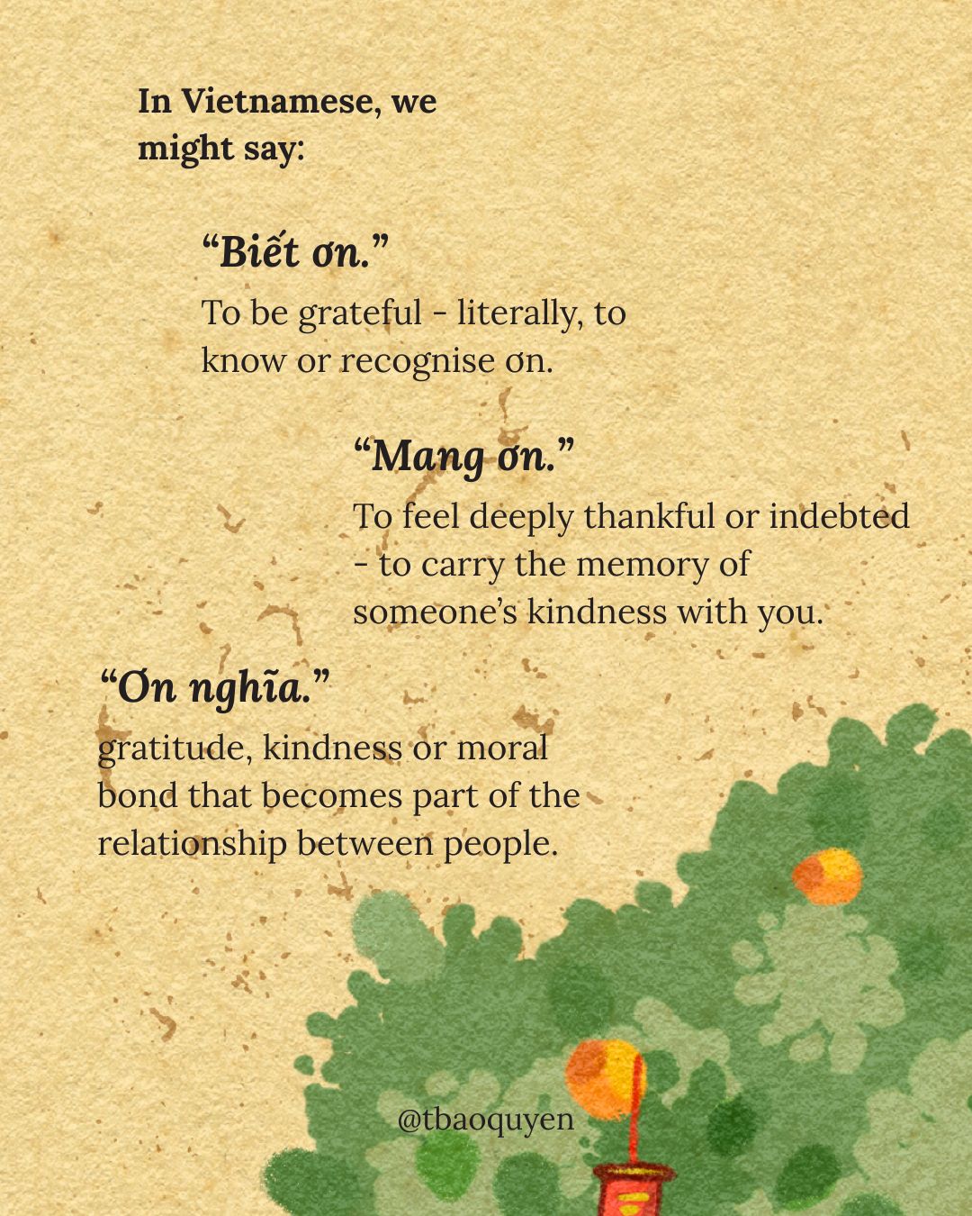 Ơn - Words We Carry