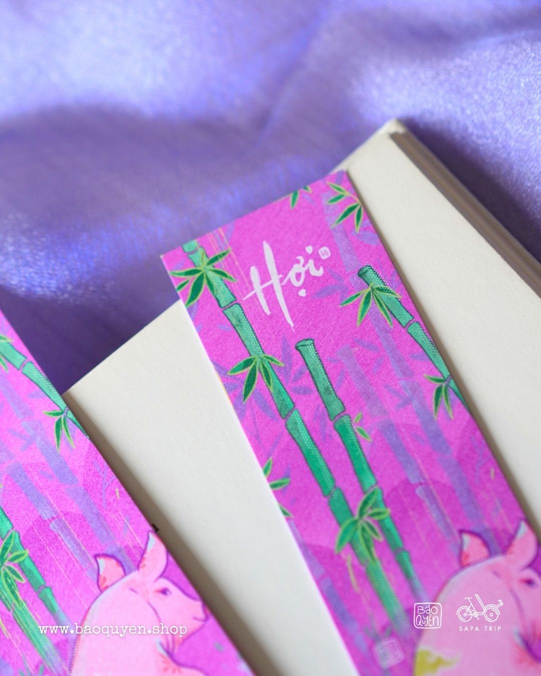 Vietnamese Pig Zodiac Bookmark with Lucky Coin – Hợi (亥)
